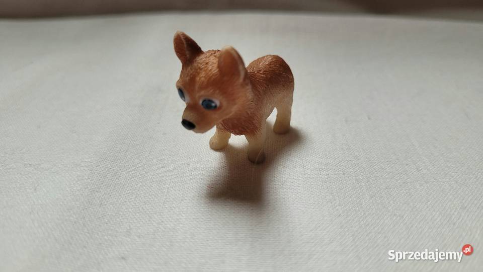 Nietuzinkowe Małe pieski do zabawy Piekary Śląskie sprzedam