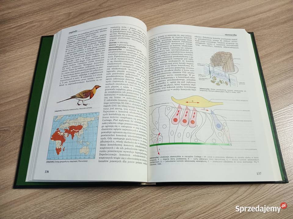 Encyklopedia Biologiczna Tom X SjTi Książki naukowe i popularnonaukowe Kraków