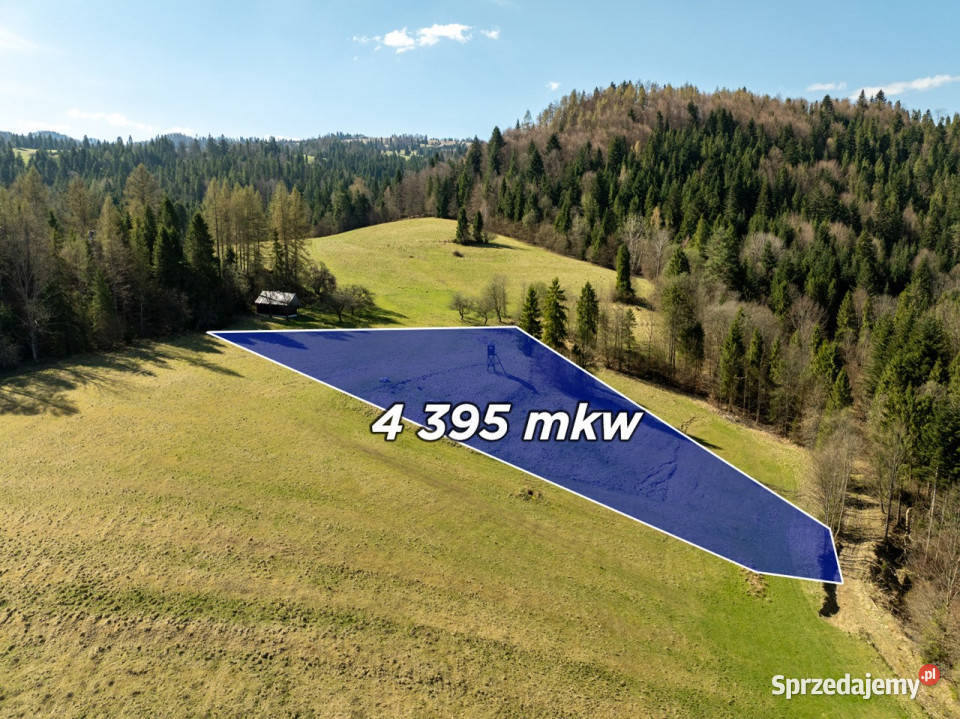 Działka widokowa Szlachtowa ok 4395 m 50zł/m2