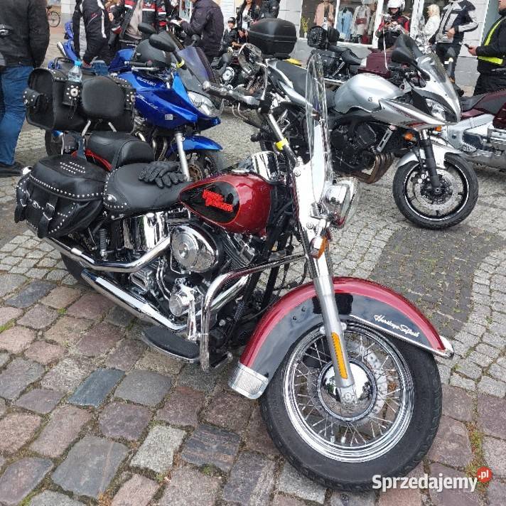 Motocykl Harley Davidson Softail Nowy Dwór sprzedam