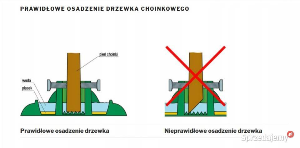Stojak na CHOINKĘ CHOINKOWY duży PODSTAWKA na zielony Kraków