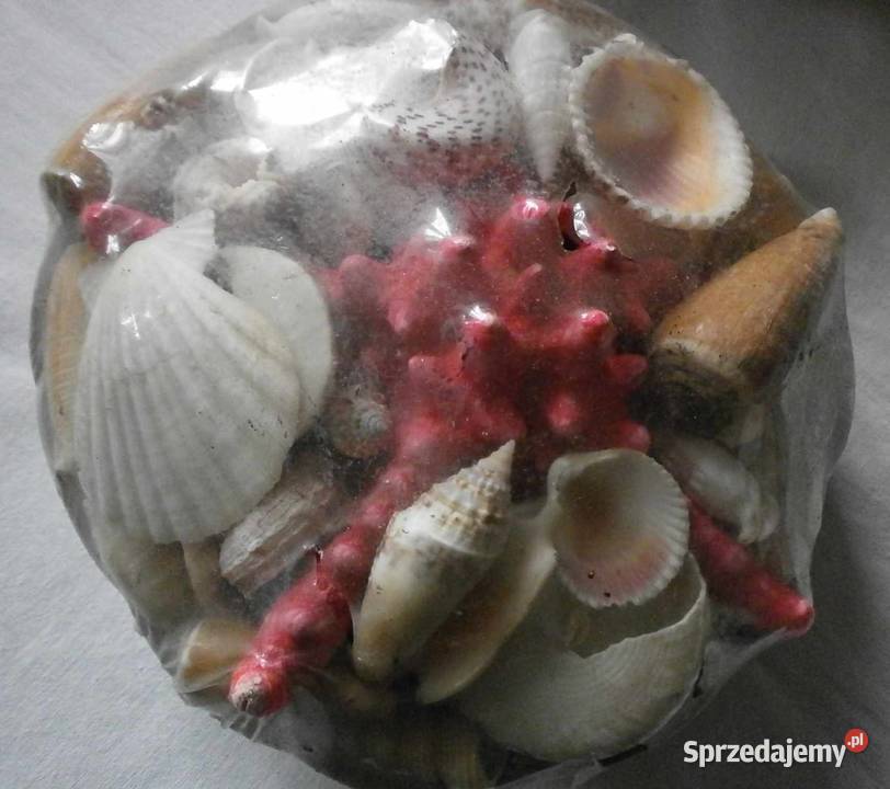 Zafoliowany zestaw Muszli Tropikalnych