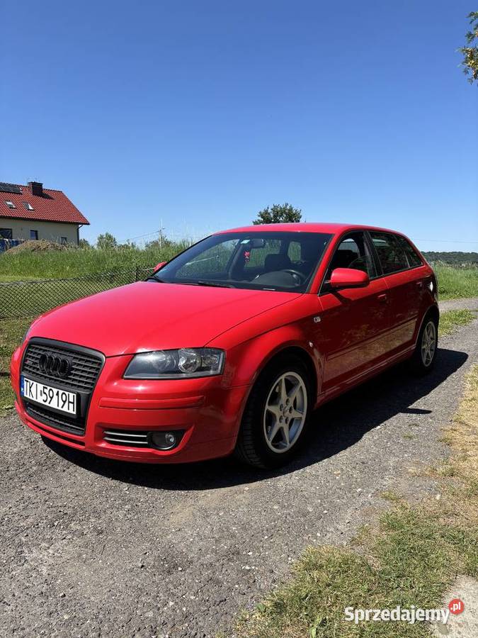 Audi A3 8P 20Turbo 200 koni Quattro Gorzków