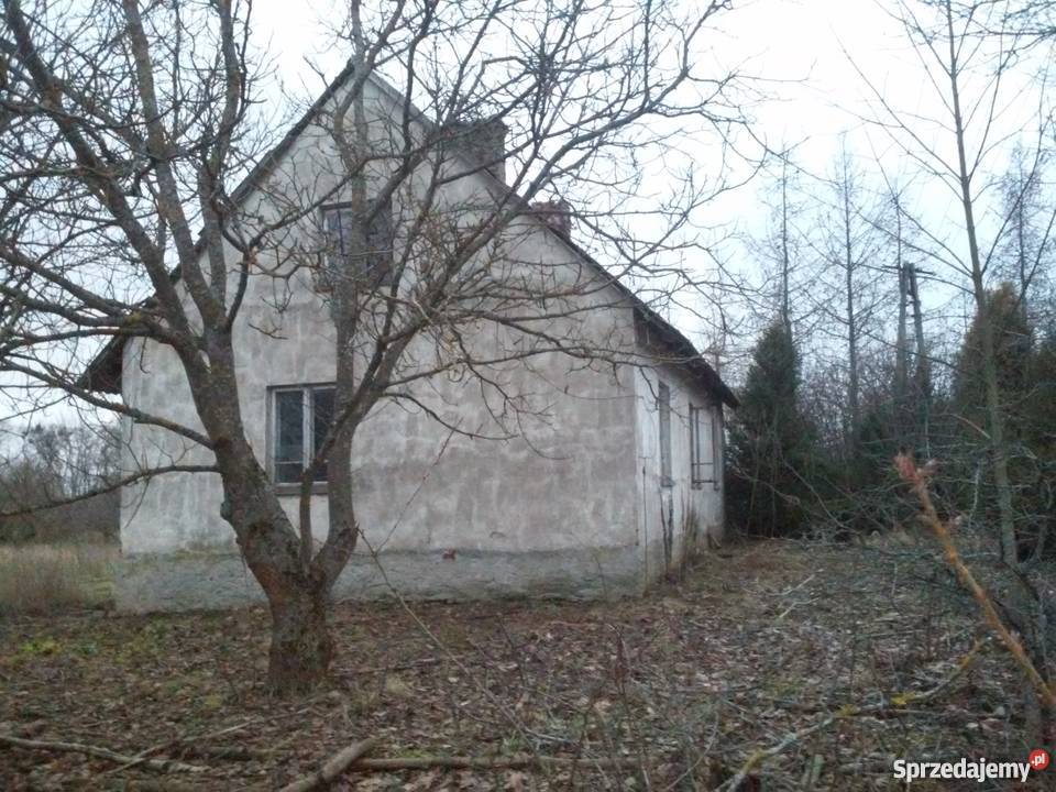 Sprzedam dom i działkę 20 ar do negocjacji Jurki