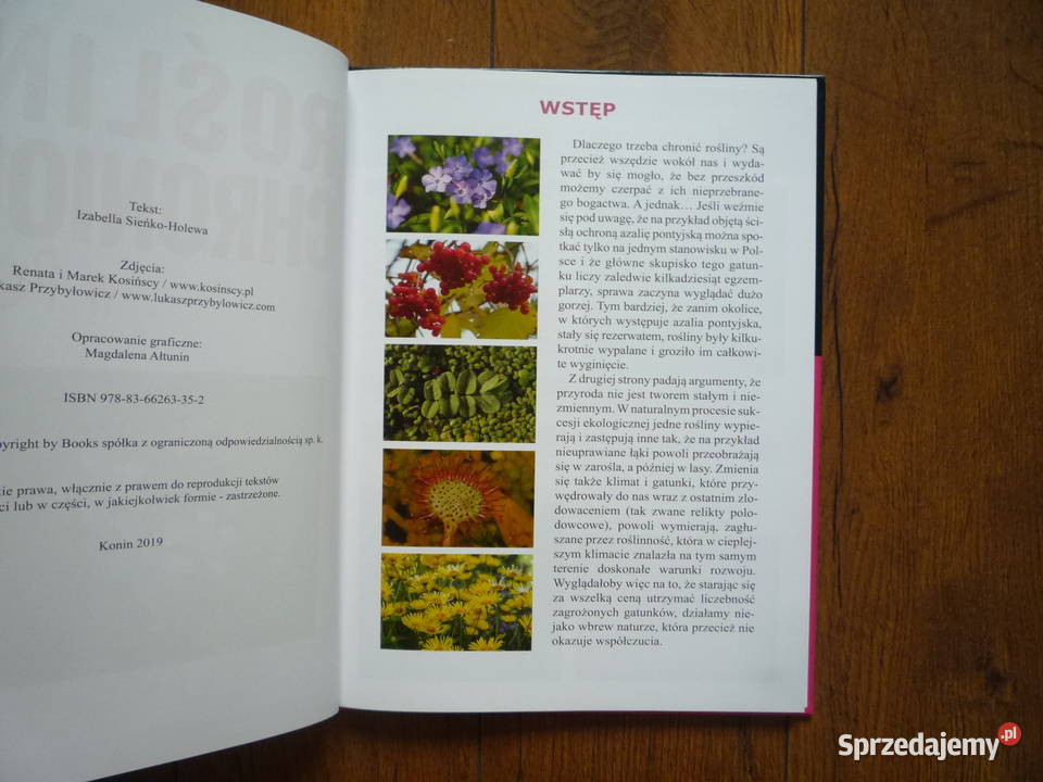 Nowa Książka Album Przewodnik Rośliny chronione Szczecin