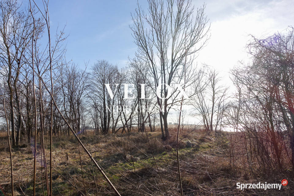 Hala 570 m2 działka 7129 m2 dostęp do wody Stepnica