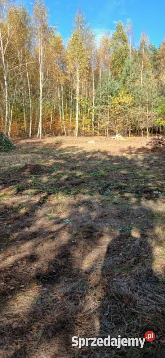 Urokliwa działka z WZ na 2 budynki 32m2 mazowieckie Karolinowo