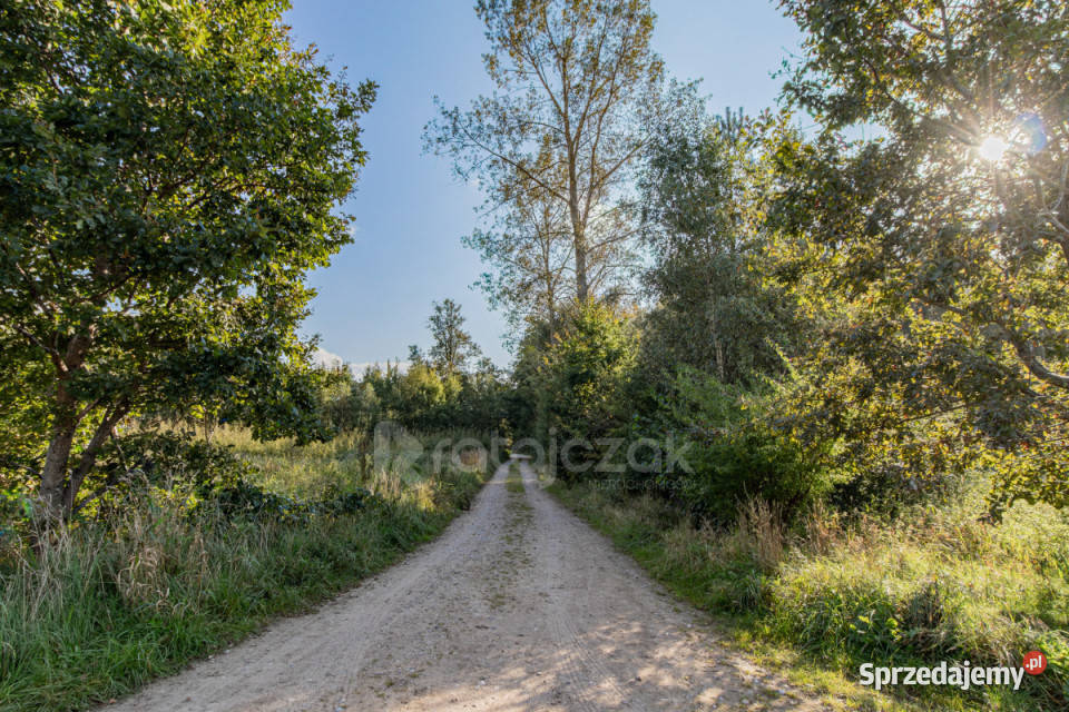 sprzedaży gruntu Choczewo Jeziorna 3014m2 Sprzedaż Grunty i działki sprzedam