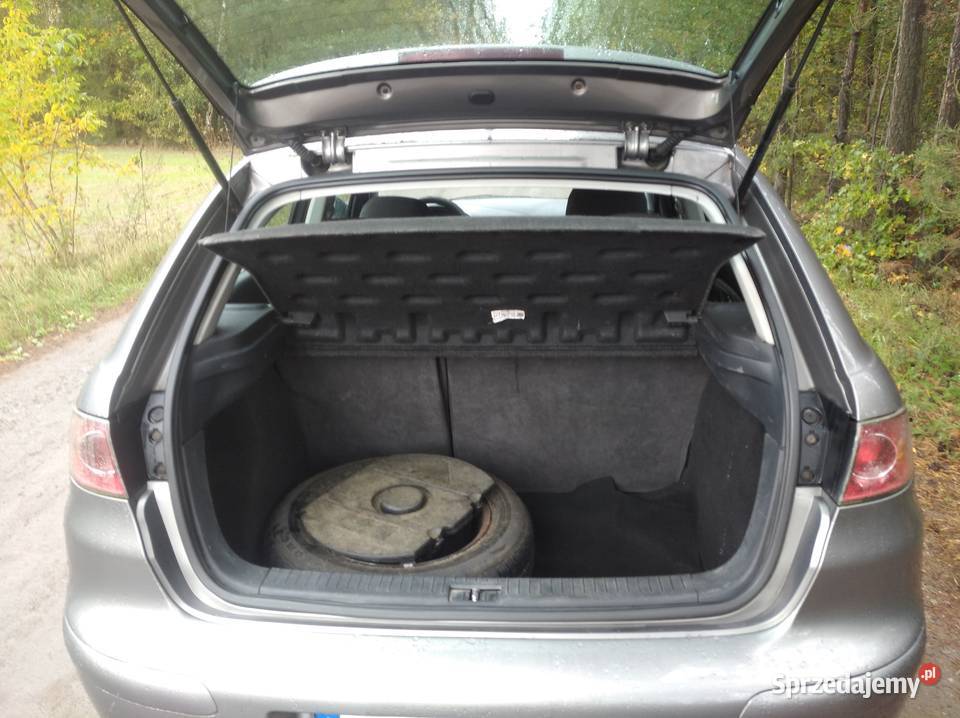 Seat Ibiza III 14 Lpg sekwencja 2004 Ibiza Płock