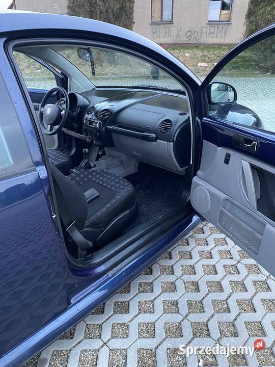 Vw Beetle
