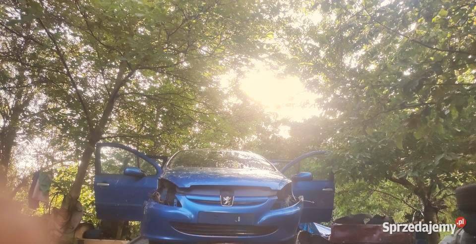 Peugeot 307 części do tego modelu hdi osobowe Motoryzacja lubuskie Drezdenko