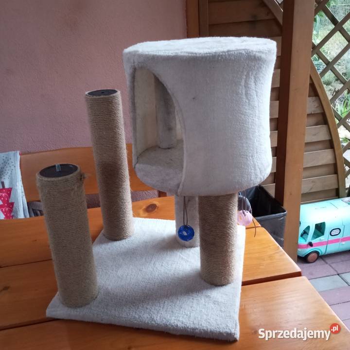 Drapak kota mały drapak kota Złotoryja