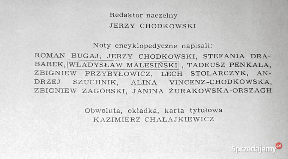 Mały słownik chemiczny Red Jerzy Chodkowski Książki i Podręczniki