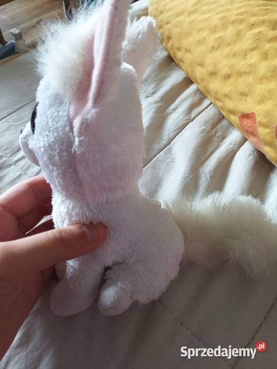 Pluszak TY piesek Wrocław