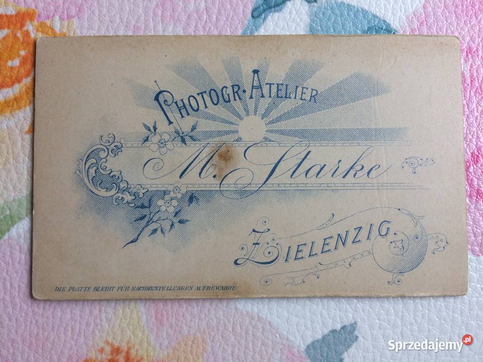 1239 SULĘCIN Niemieckie Zdjęcie Kartonikowe Szczecin