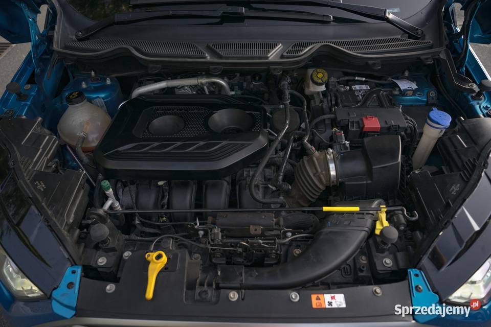 Ford Ecosport 20 4x4 2018 kujawsko-pomorskie Grudziądz