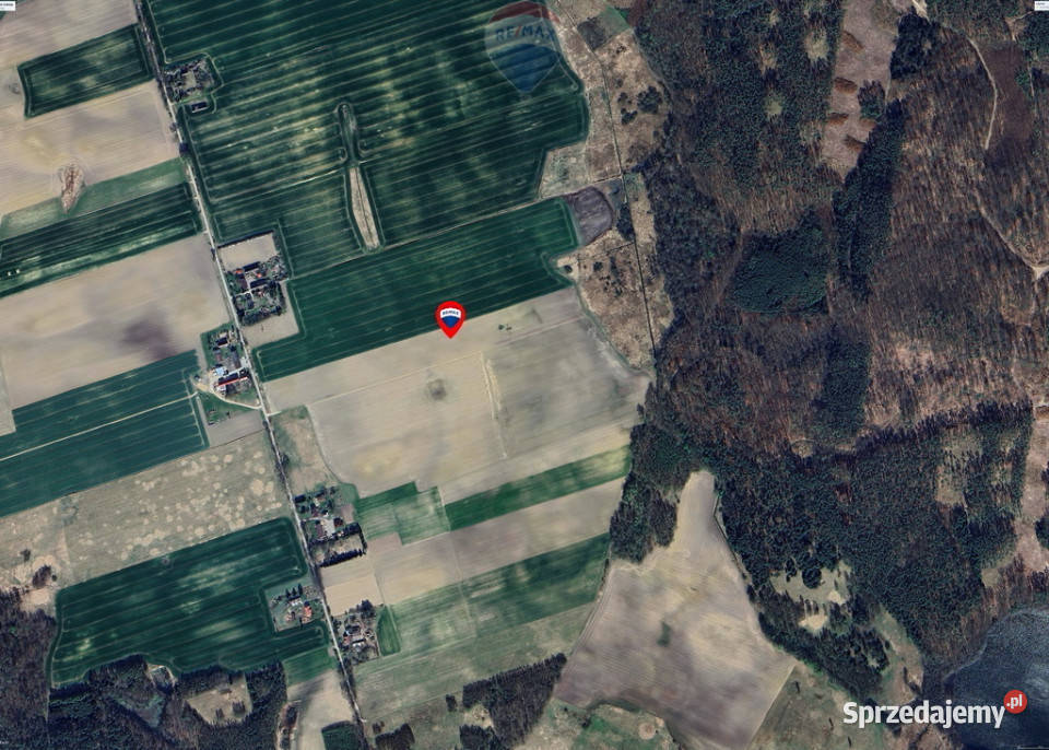 Na przedaż kompleks działek 146500m2 Nowe Worowo rolna Sprzedaż