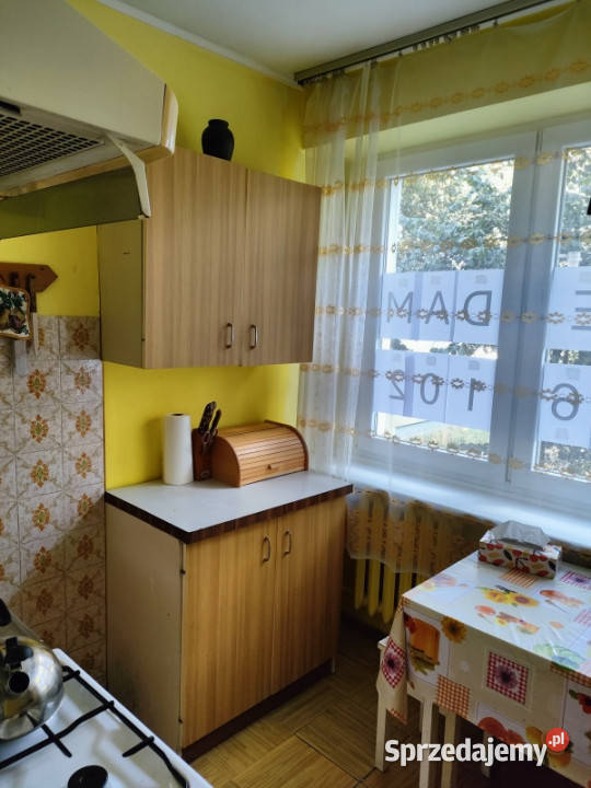 3 pokoje na 1 piętrze gotowe do zamieszkania 58 3 piętra i więcej Lublin