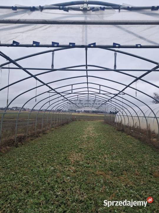 Tunel Foliowy 315 x 7 Majków Średni