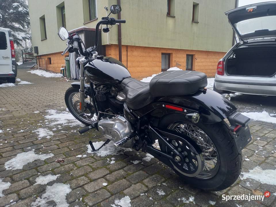 HarleyDavidson Fxst Softail Standard M8 Niski cruiser Bielsko-Biała sprzedam