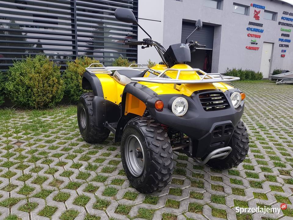AEON OVERLAND 180 SUPER STAN SERWIS DOSTAWA łódzkie Kutno