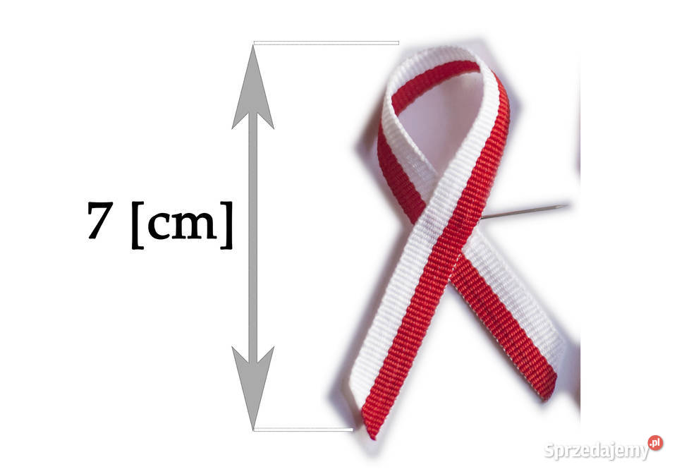 Kotylion x25 patriotyczny narodowy przypinki Bochnia