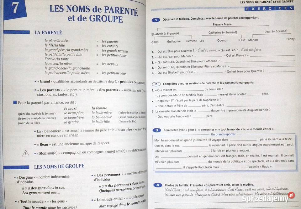 Grammaire progressive du franais avec 600 Chełm