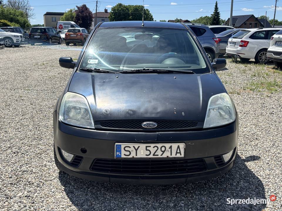 Ford Fiesta Paniówki