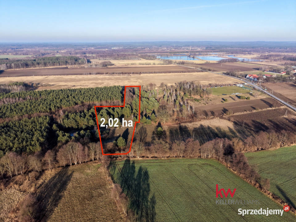 Sprzedam działka Kuźniczysko 20200m2 dolnośląskie