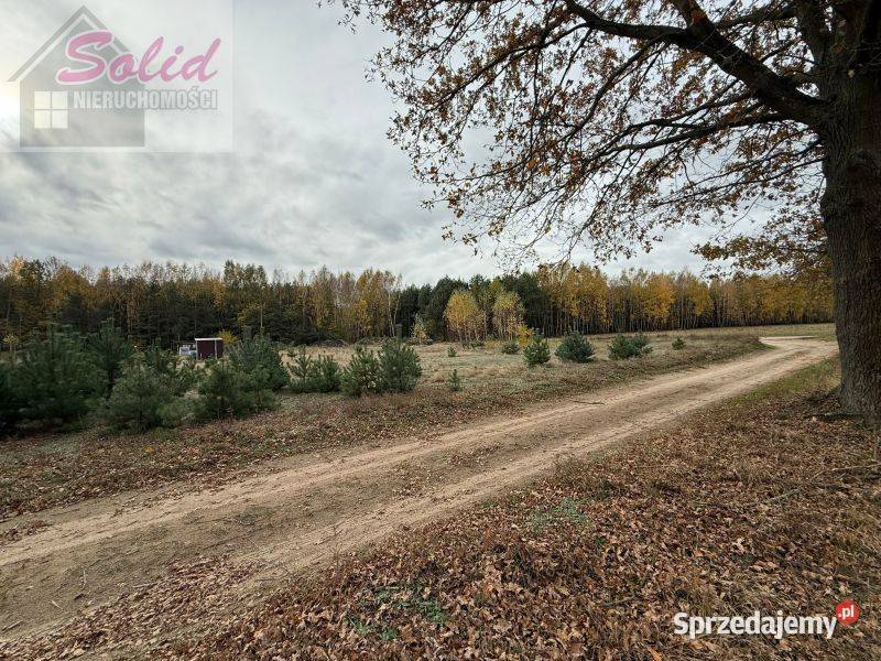 Urokliwa działka z możliwością zabudowy w asfalt Choinek sprzedam