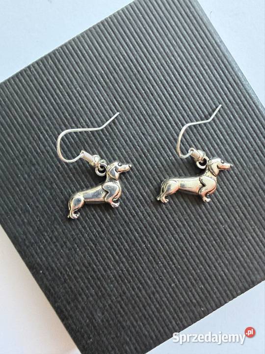 Kolczyki z metalu jamniki Łomża