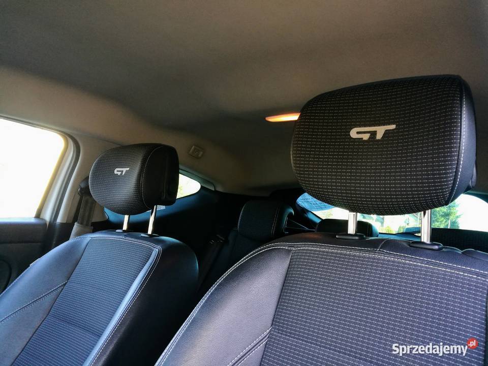z 38900 na 29999 do 31 stycznia Megane 3 GT 20