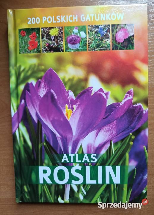 Atlas roślin 200 polskich gatunków Osięciny