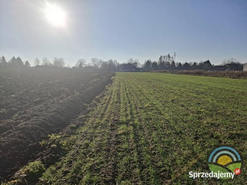 Śledziejowice gm Wieliczka działka budowlana 760 małopolskie