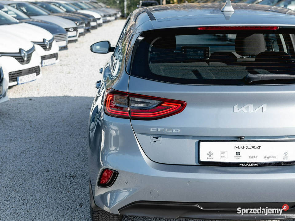 Kia Ceed WND5855C15 TGDI M DCT 2 stref klima srebrny Gdańsk sprzedam