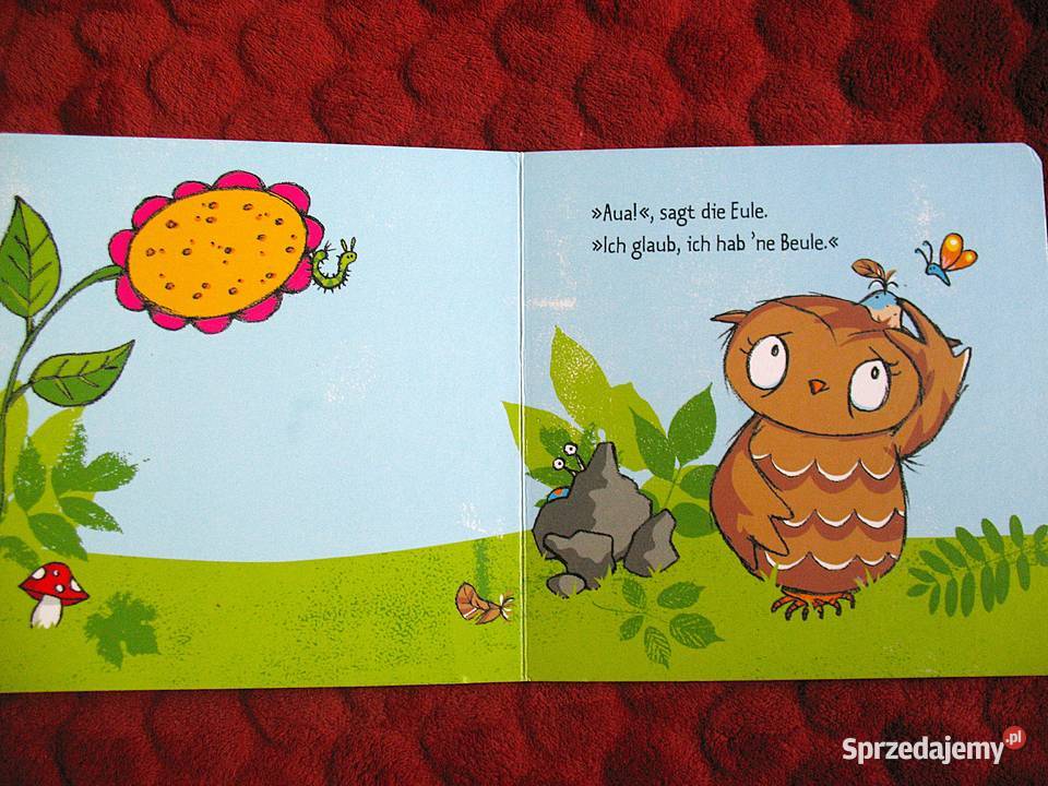 Die Eule mit der Beule Brauer książka niemiecka Siedlce