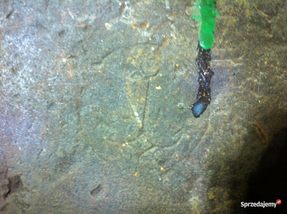 Stare kowadło kowalskie Zębowice