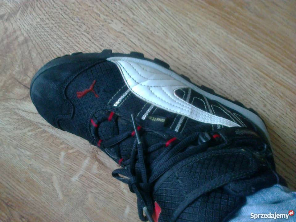 buty puma lublin buty puma lublin