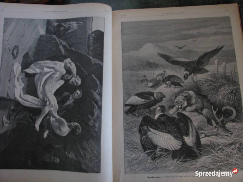 Stary JOURNAL 1902 Stockholm Pozostałe śląskie Bielsko-Biała