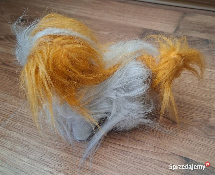 Maskotka tańczący pies lubuskie Zielona Góra