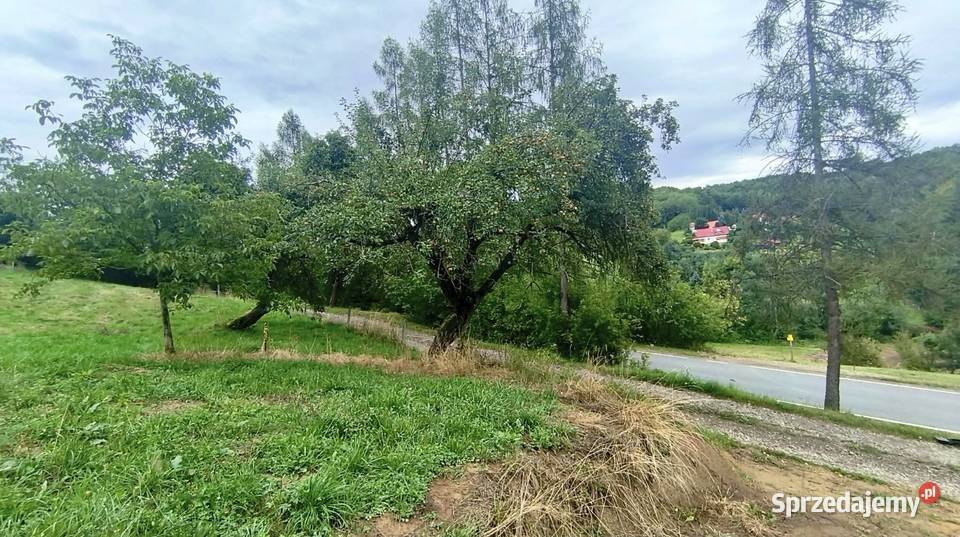 Działka budowlana 19 arów Janowice powiat sprzedam