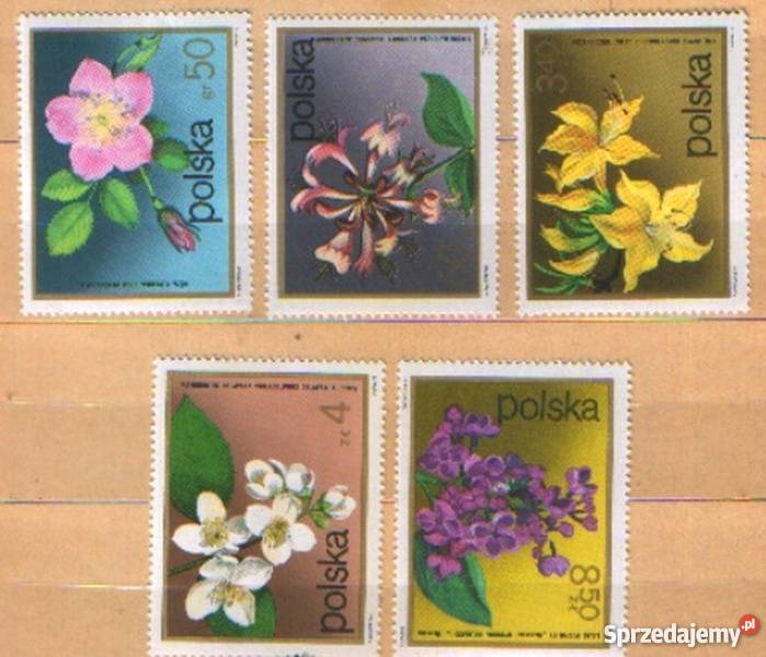 Zn Fi 2068 9 72 4 1972 Kolekcje Gliwice