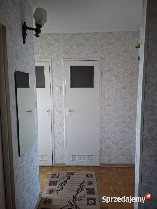 Bełchatów Osiedle Wolność Mieszkanie 48m2 3