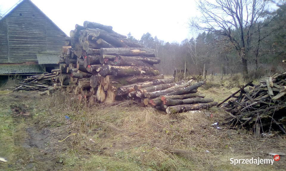 TANIE DREWNO KOMINKOWE I OPAŁOWE TRANSPORT zachodniopomorskie Białogard sprzedam