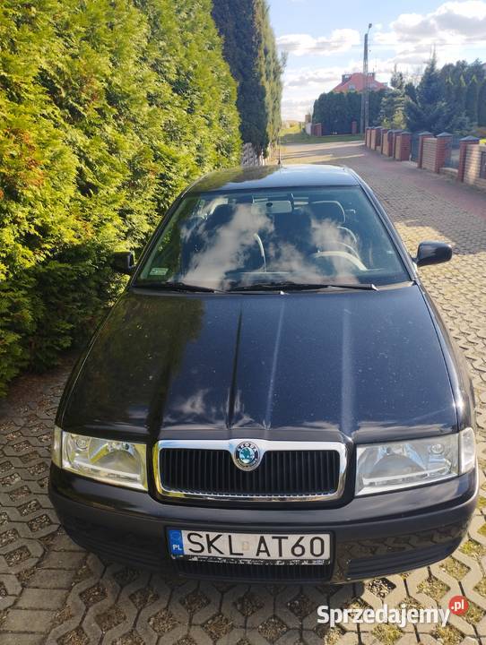 SKODA OCTAVIA ICE bezwypadkowy poliski salon Kalisz