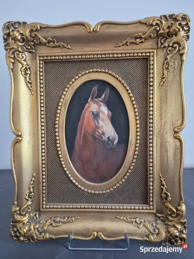Piękny portret zadumanego konia mazowieckie Piaseczno sprzedam
