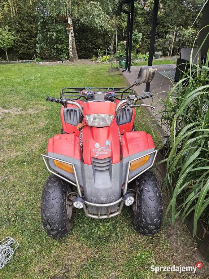 D 100 helix T Rex dl 603 z homologacja Rok produkcji 2004 Starogard Gdański sprzedam