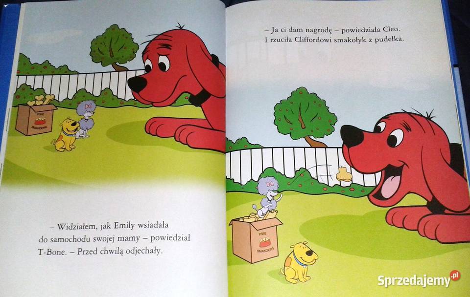 Clifforda boli brzuszek Page Josephine Norman Chełm