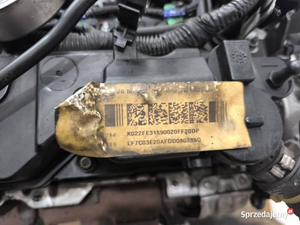 SILNIK KOMPLETNY FORD FOCUS MK3 LIFT 15 TDCI 120 osobowe sprzedam