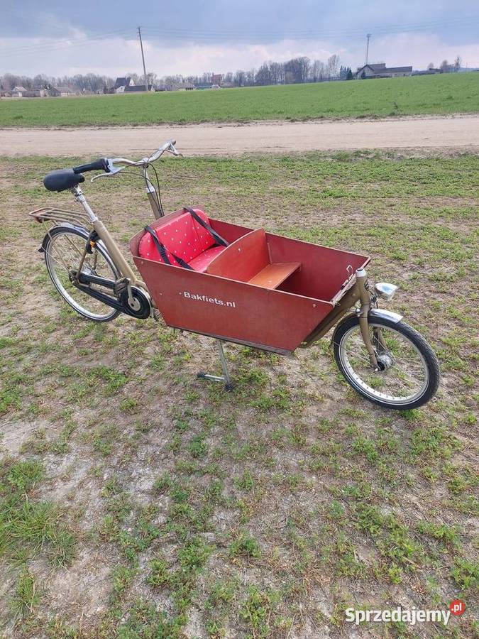 Rower cargo kujawsko-pomorskie